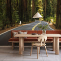 Redwood Odyssey Mural Wallpaper - room preview 06