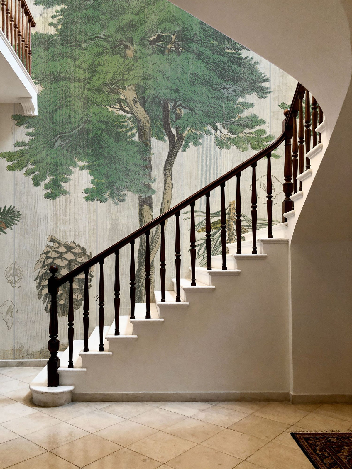 Woodland Chart I Mural Wallpaper - room preview 06