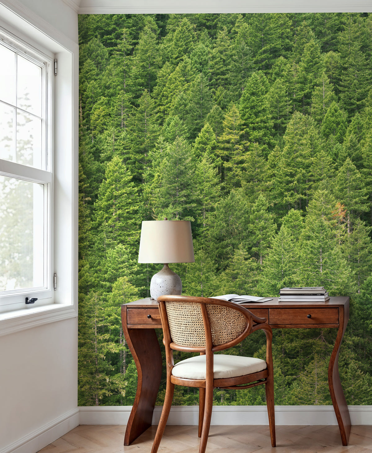 Evergreen Forest in Washintong State Mural Wallpaper - room preview 06