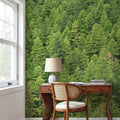 Evergreen Forest in Washintong State Mural Wallpaper - room preview 06