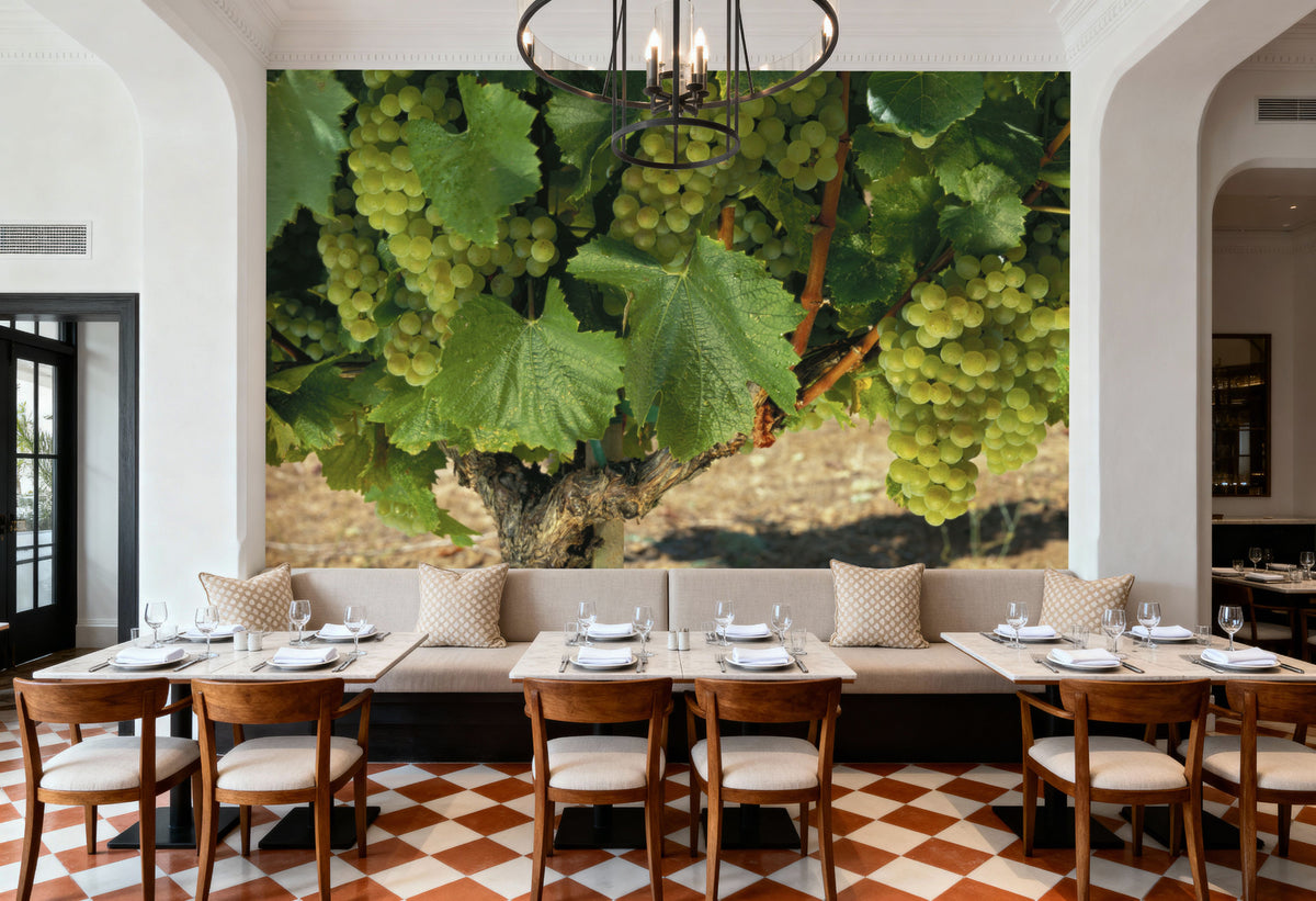 Napa Chardonnay Grapes Mural Wallpaper - room preview 06