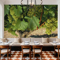 Napa Chardonnay Grapes Mural Wallpaper - room preview 06