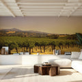 Golden Vineyard Vista Mural Wallpaper - room preview 06