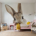 Peekaboo Bunny Mural Wallpaper - room preview 06