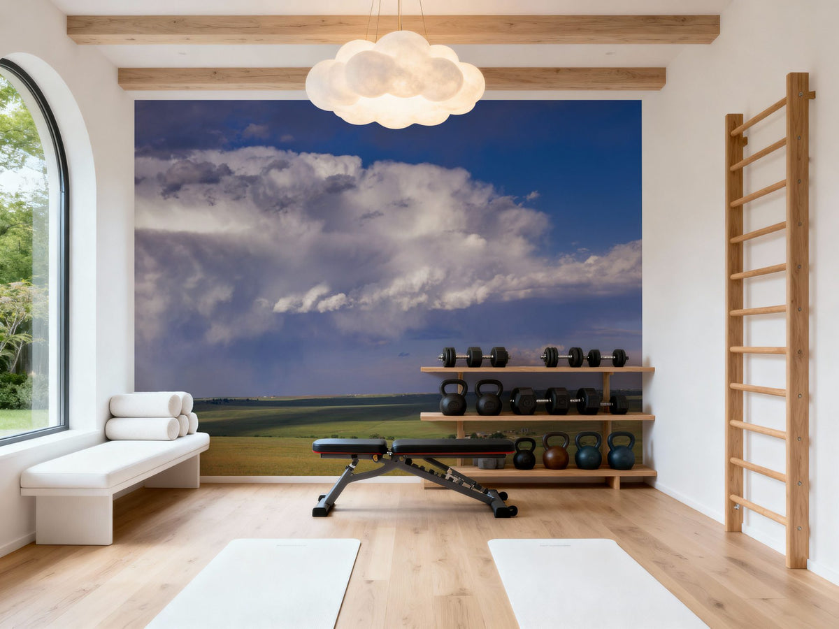 Prairie Rainbow Mural Wallpaper - room preview 06
