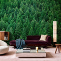 Olympic National Forest, Washington State Mural Wallpaper - room preview 06