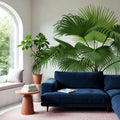 Vintage Palm Tree IV Mural Wallpaper - room preview 06