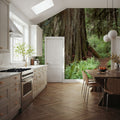 Primeval Forest Path Mural Wallpaper - room preview 06
