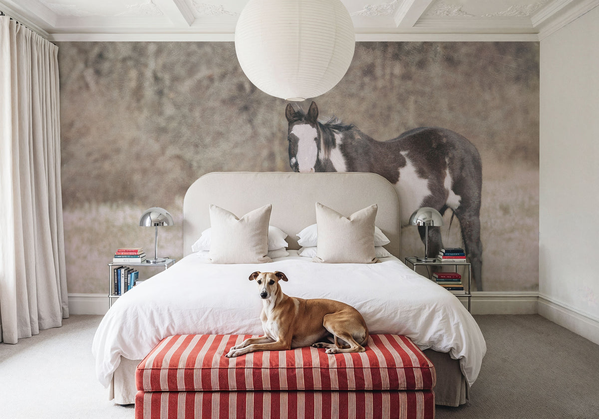 Sunny Field II Mural Wallpaper - room preview 06