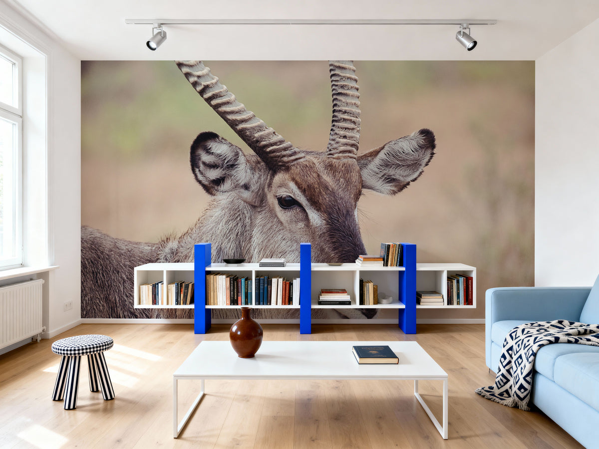 Waterbuck Portrait Mural Wallpaper - room preview 06