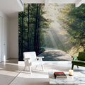 Forest Pathway Mural Wallpaper - room preview 06