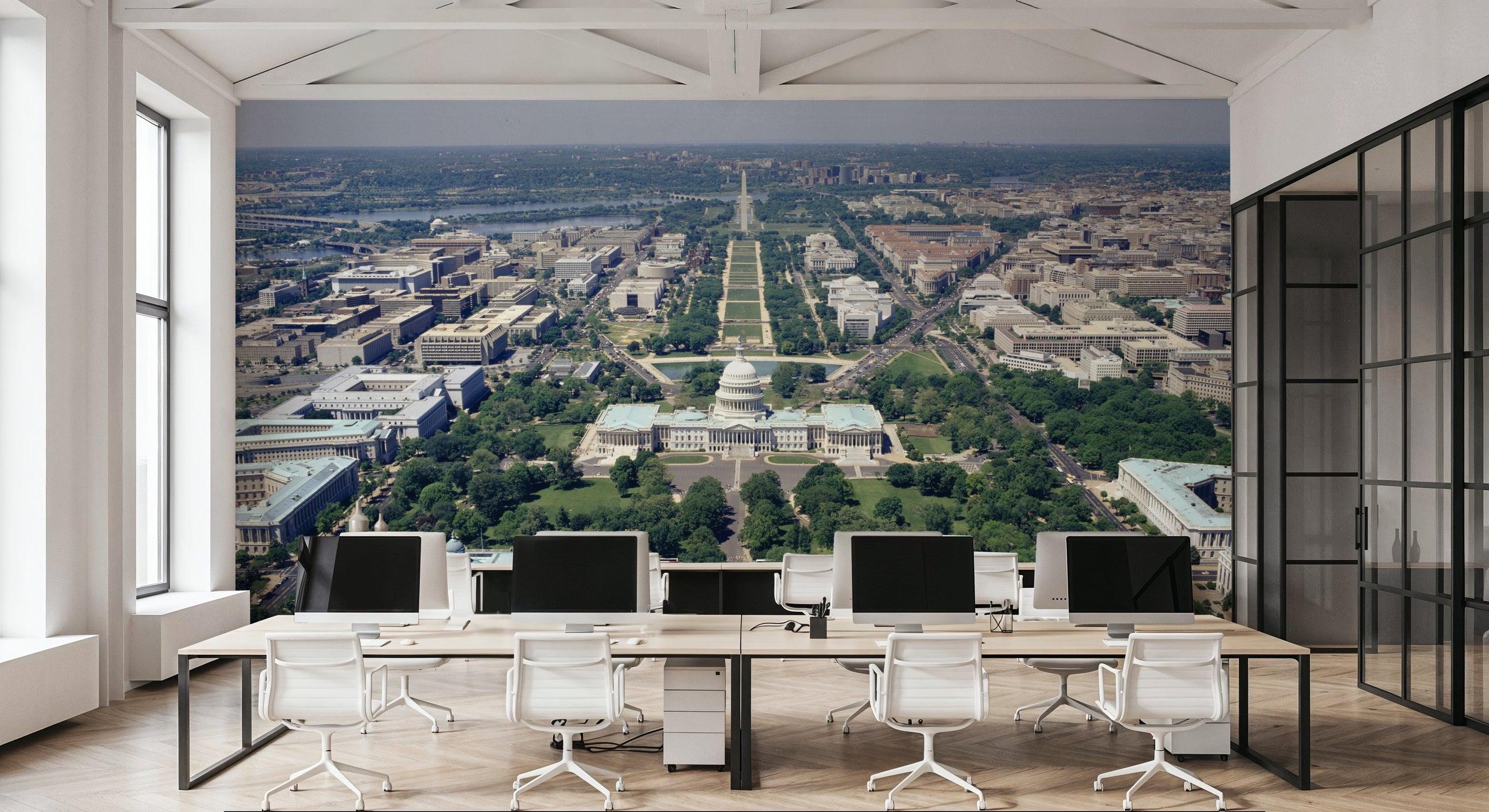 Capitol Vista Mural Wallpaper