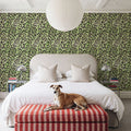 Summer Paws Green Mural Wallpaper - room preview 06