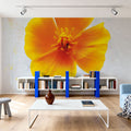 Wonderful Wildflowers V Mural Wallpaper - room preview 06