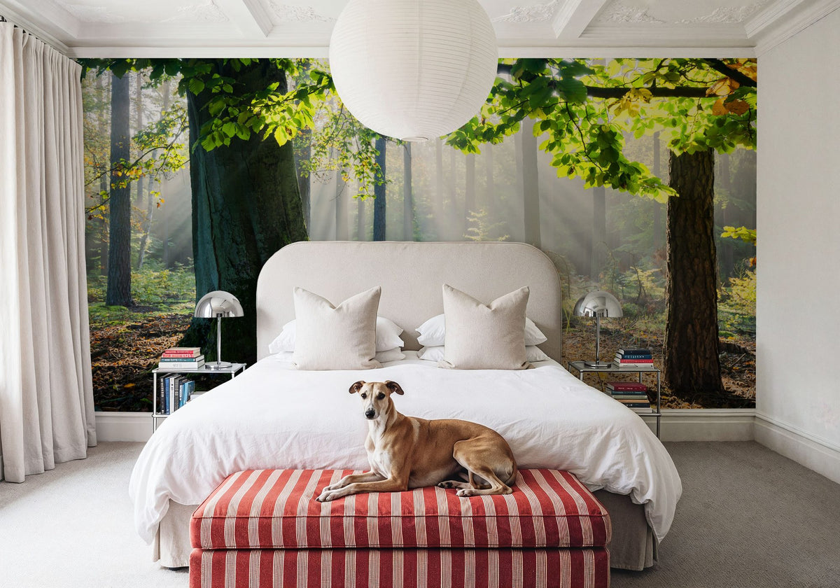 Mystical Forest Sunrays Mural Wallpaper - room preview 06