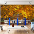 Golden Canopy Trail Mural Wallpaper - room preview 06