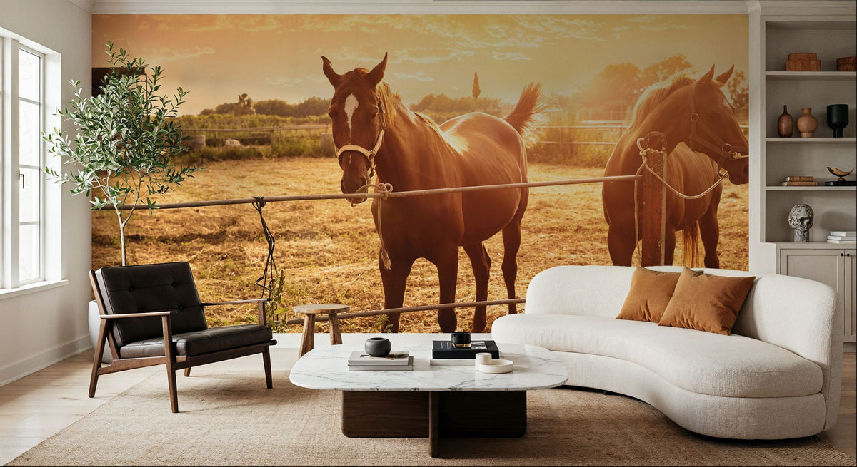 Sunset Companions Mural Wallpaper - room preview 06