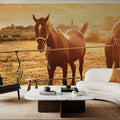 Sunset Companions Mural Wallpaper - room preview 06