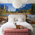 Yosemite Merced River Mural Wallpaper - room preview 06