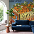 Greetings From Florida's Finest Oranges Mural Wallpaper - room preview 06