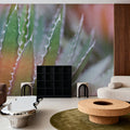Dream Desert III Mural Wallpaper - Neutral Tone - room preview 06