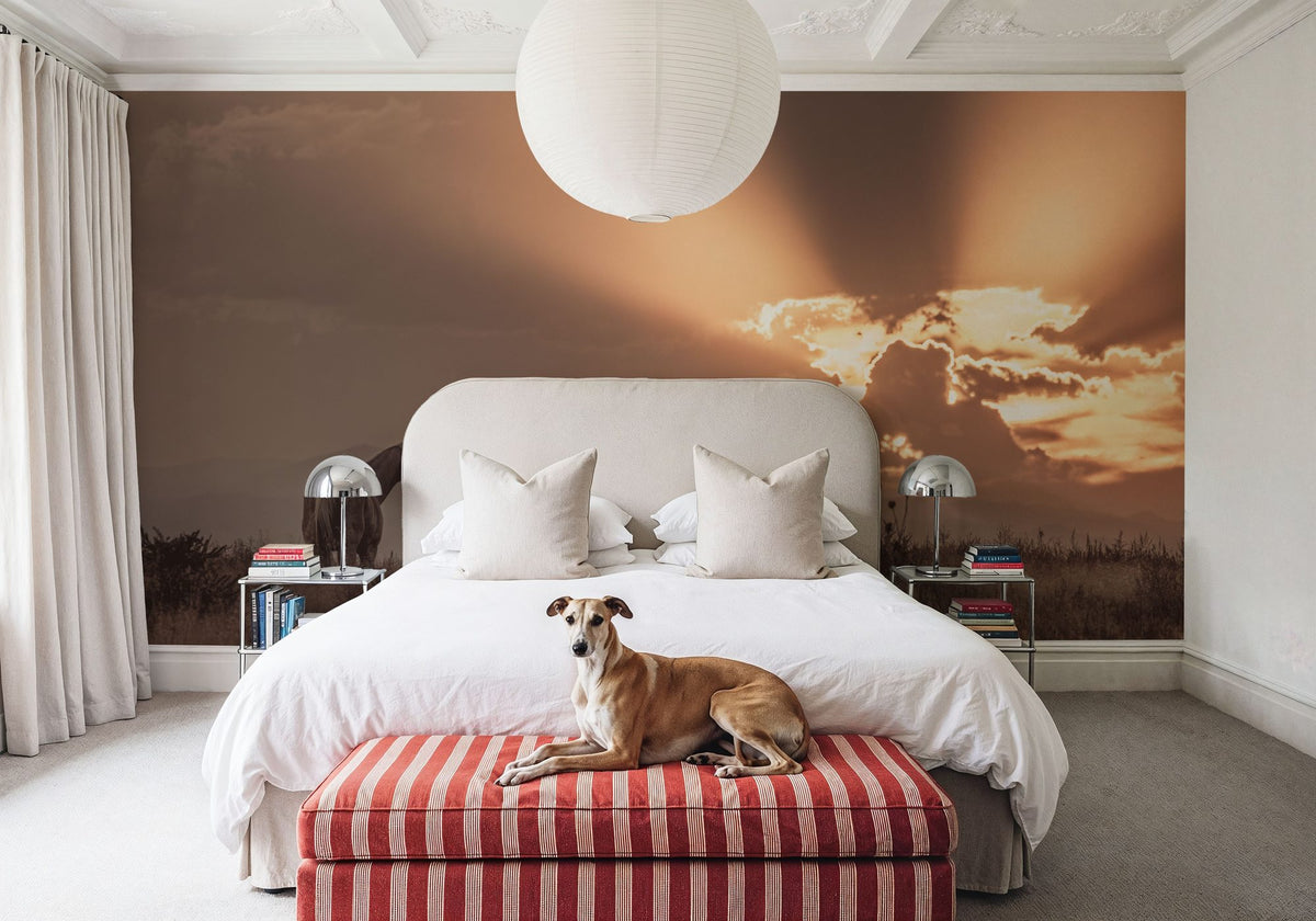 Faded Sunset Mural Wallpaper - room preview 06