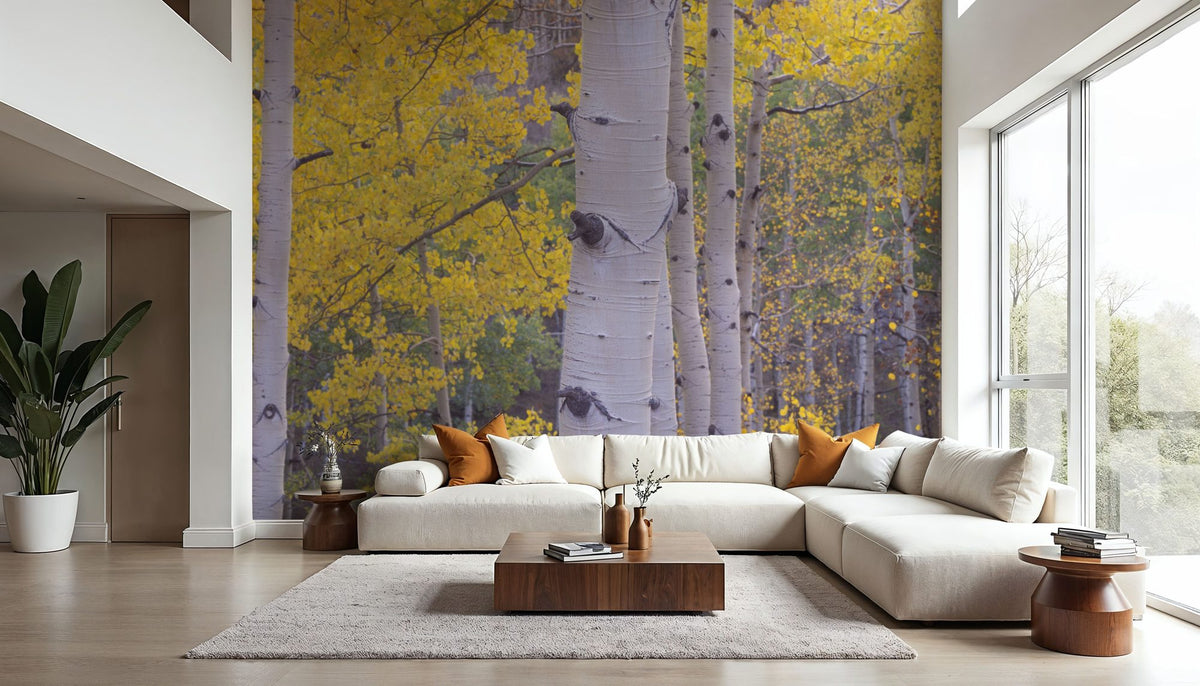 Golden Birch Forest Mural Wallpaper - room preview 06