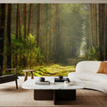 Silent Forest Road Mural Wallpaper - room preview 06