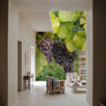 Vineyard Harvest Mural Wallpaper - room preview 06