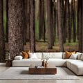 Dark Pine Forest Mural Wallpaper - room preview 06