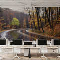 Autumn Journey Mural Wallpaper - room preview 06