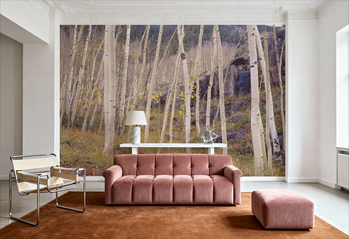 Aspen Grove Serenity Mural Wallpaper - room preview 06