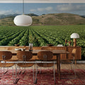 Harvest Rows Mural Wallpaper - room preview 06