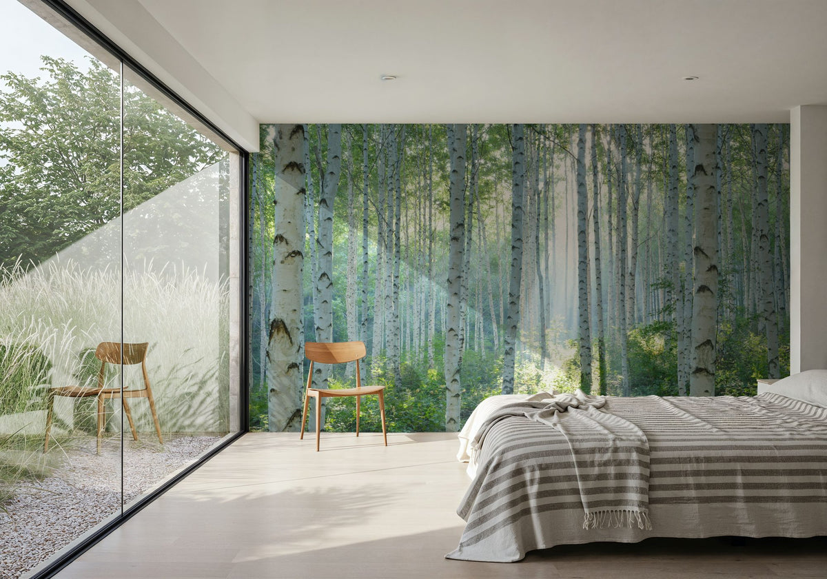 Peaceful Birch Woods Mural Wallpaper - room preview 06