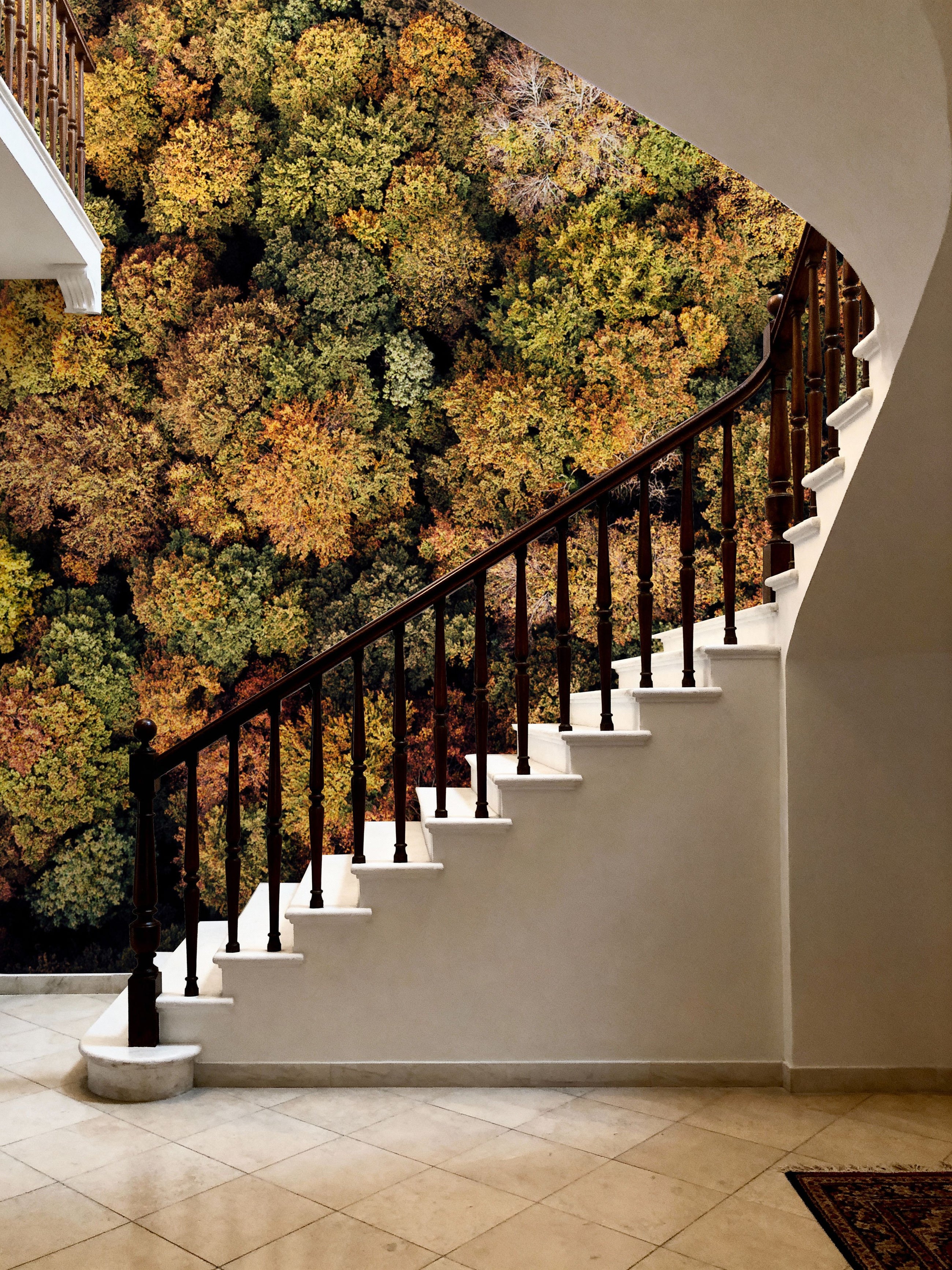 Aerial Forest Mural Wallpaper