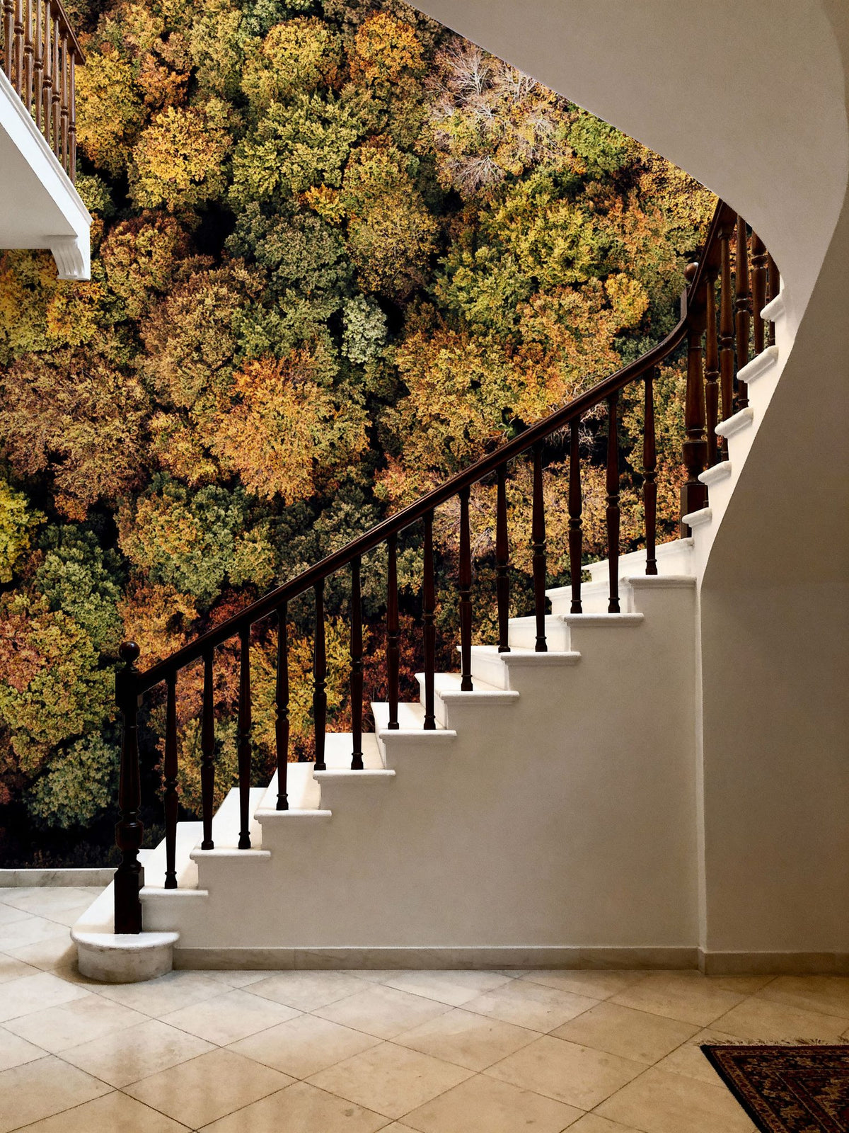 Aerial Forest Mural Wallpaper - room preview 06