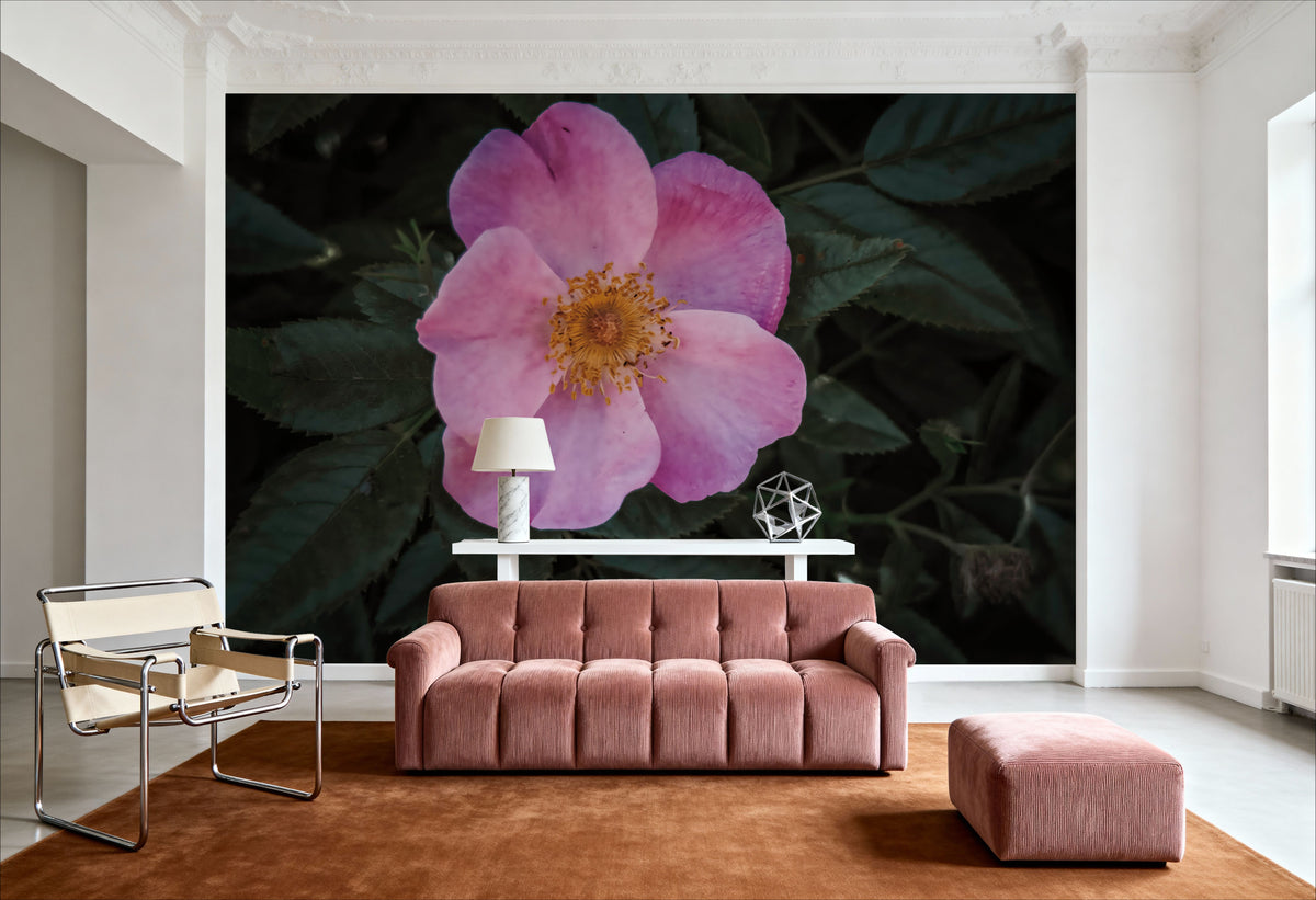 Wild Rose II Mural Wallpaper - room preview 06