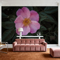 Wild Rose II Mural Wallpaper - room preview 06