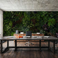 Botanical Eco Herbs Mural Wallpaper - room preview 06