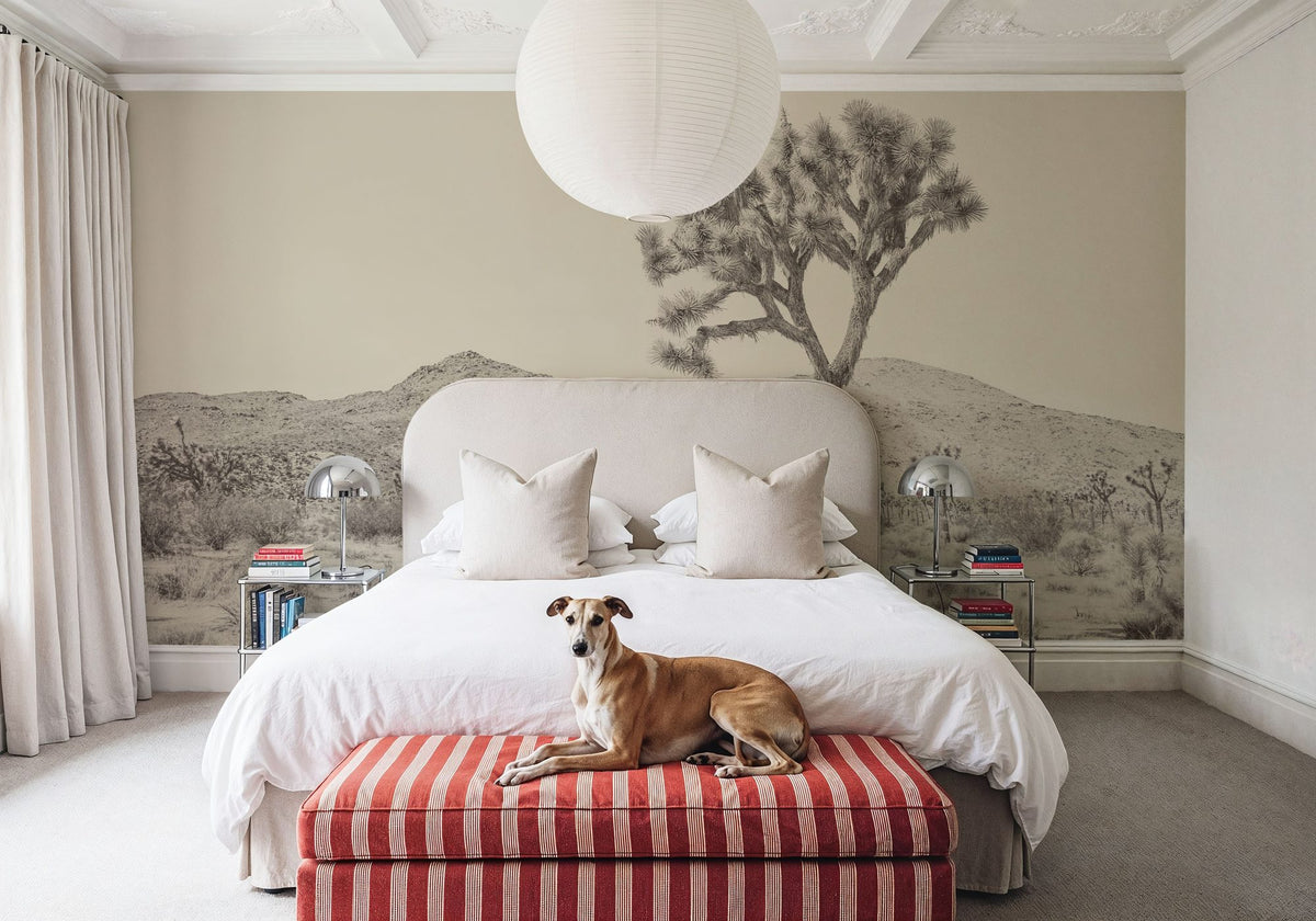 Joshua Tree Focus Mural Wallpaper - room preview 06