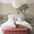 Joshua Tree Focus Mural Wallpaper - room preview 06