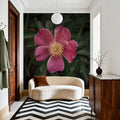 Wild Rose IV Mural Wallpaper - room preview 06