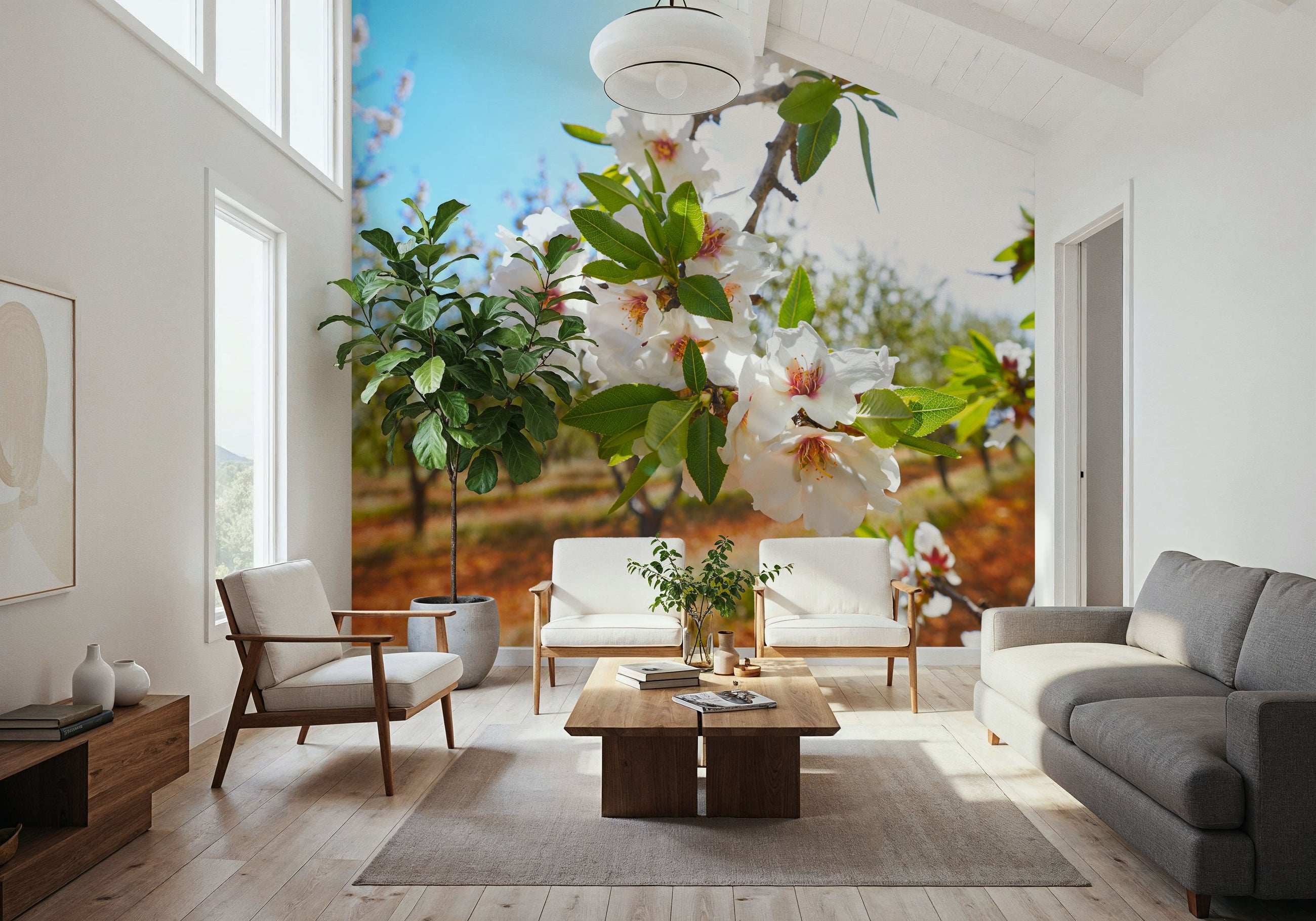Almond Blossom Orchard Mural Wallpaper