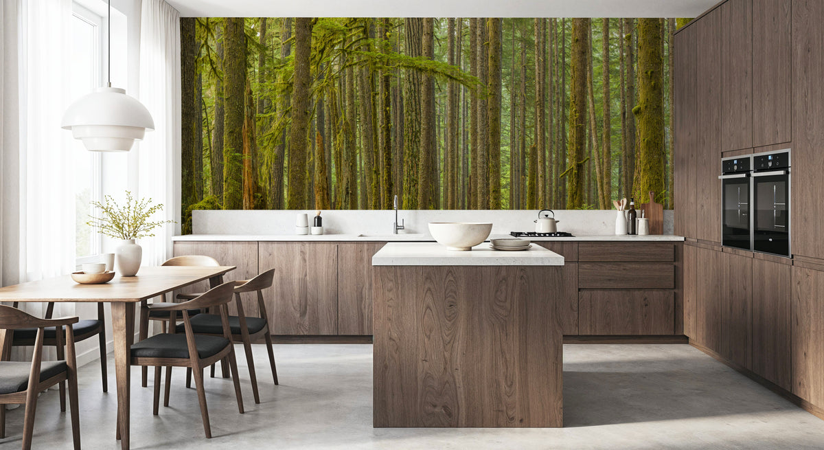 Ancient Trees Mural Wallpaper - room preview 06