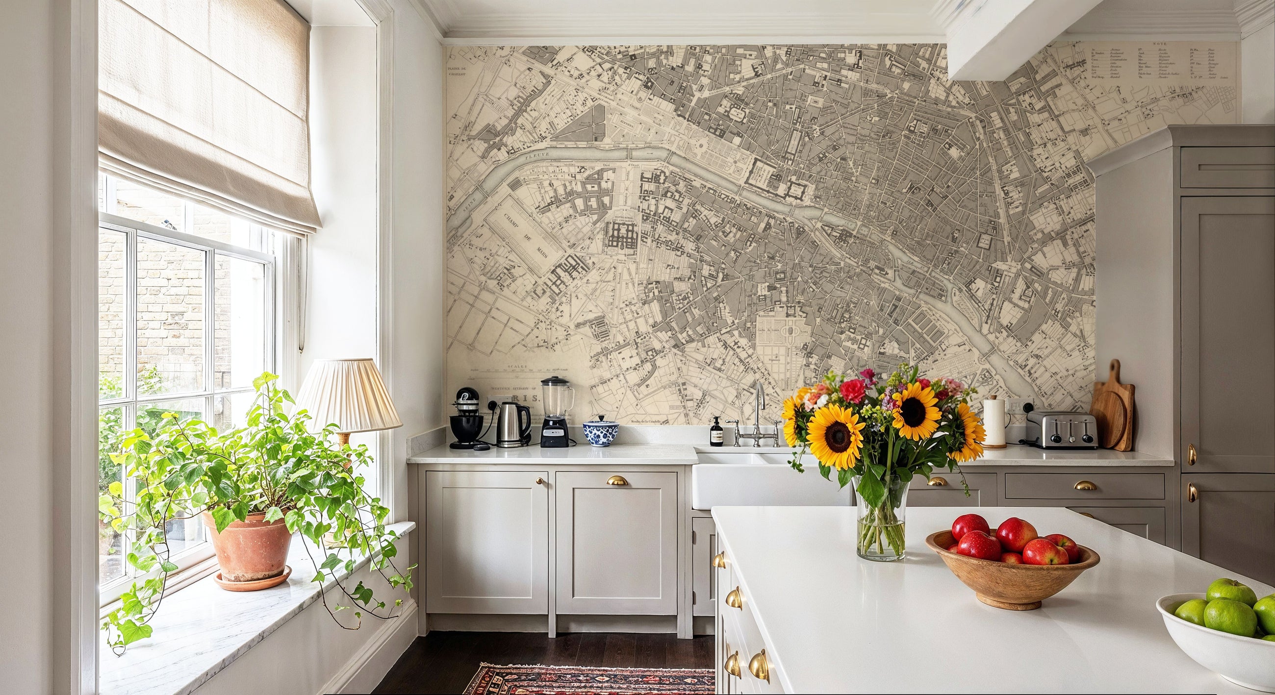 Paris 1834 Mural Wallpaper
