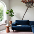 Field Journal Entry IV Color Mural Wallpaper - room preview 06