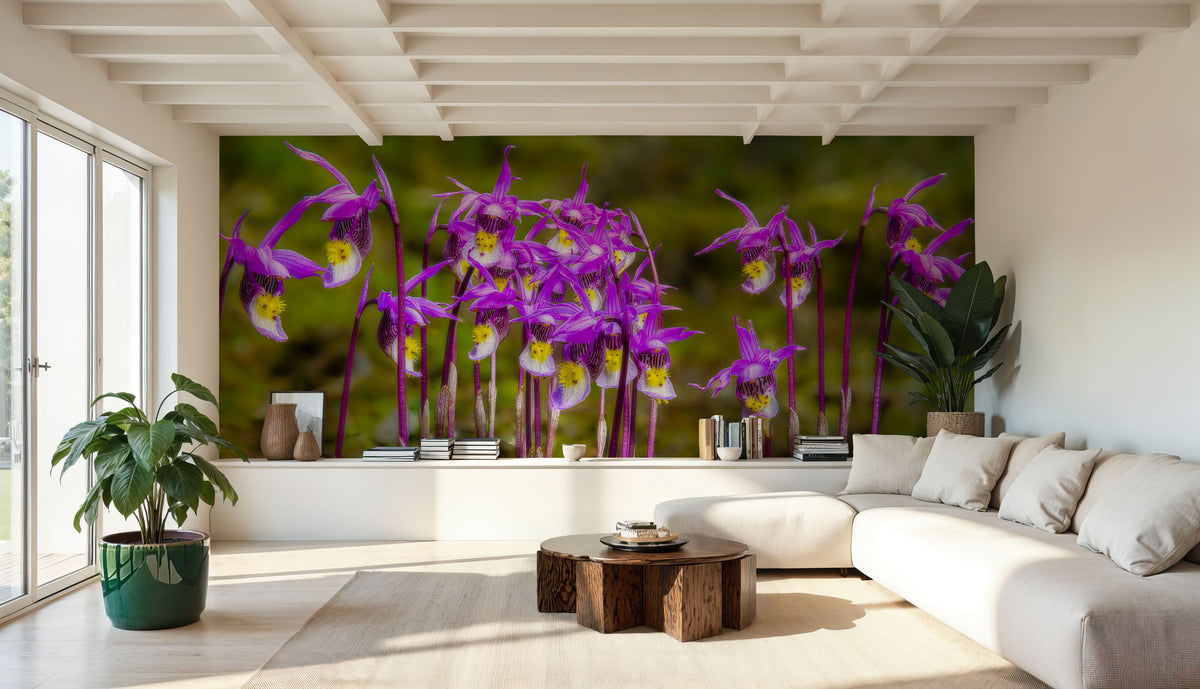 Calypso Bulbosa Bloom Mural Wallpaper - room preview 06
