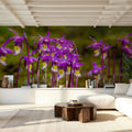 Calypso Bulbosa Bloom Mural Wallpaper - room preview 06