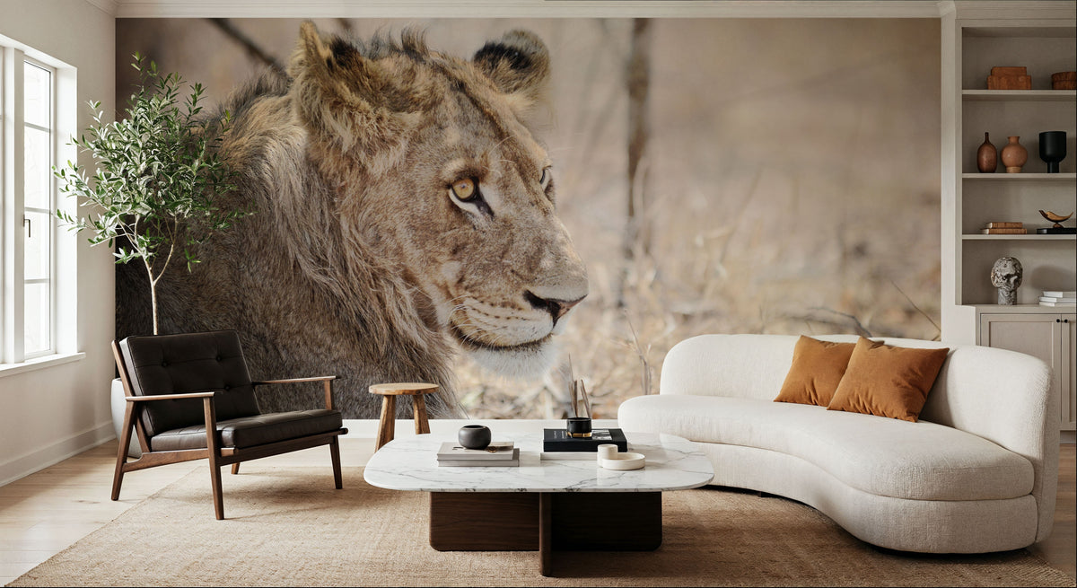 Young Lion Mural Wallpaper - room preview 06