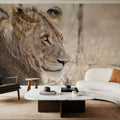 Young Lion Mural Wallpaper - room preview 06